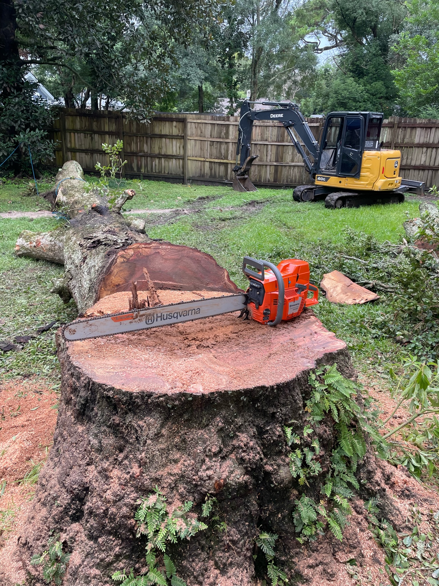Carr Land Management Top Choice Tree Removal and Marine Construction